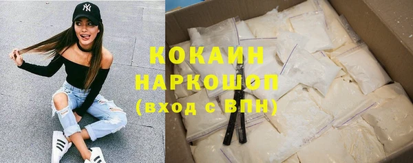 стаф Пенза