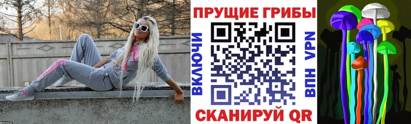 закладка маркетплейс как зайти Галлюциногенные грибы Psilocybine cubensis Электросталь