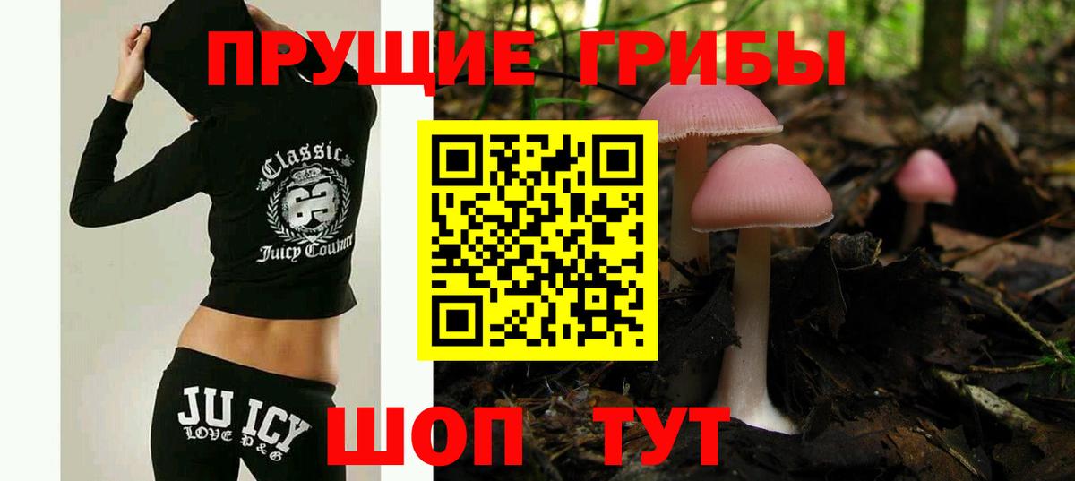 Псилоцибиновые грибы мицелий Электросталь