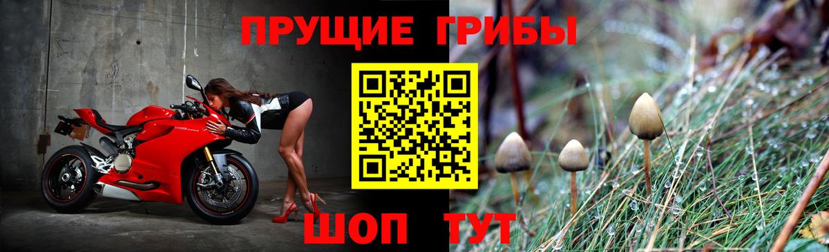 Электросталь  Галлюциногенные грибы MAGIC MUSHROOMS  Вход с VPN  Псилоцибиновые грибы мухоморы 